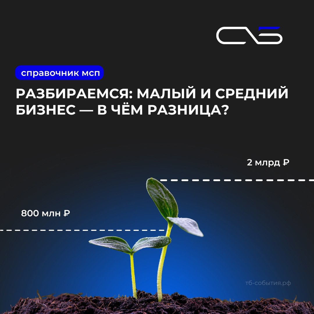 photo_2025-07-16 03.26.32.jpeg